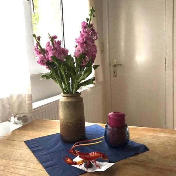 titelbild