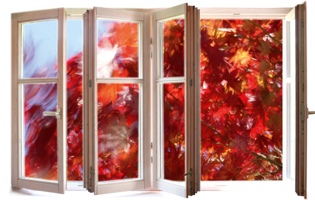 fenster